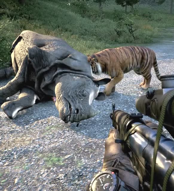 老虎和犀牛的pk