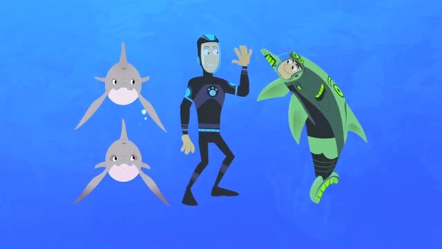 动物兄弟:海豚们赶走了鲨鱼,这下唔唔就可以去水面换气了