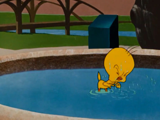 兔八哥:翠蒂在水盆中洗澡,殊不知他已被傻大猫盯上了!