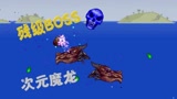 天铭 泰拉瑞亚 女巫与真实MOD 76次元魔龙 残级BOSS