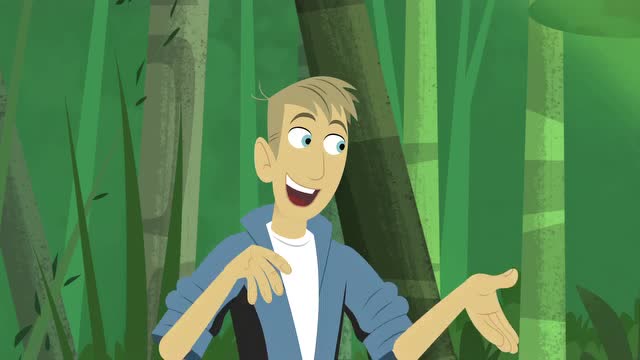 动物兄弟:多尼塔要抓小金竹狐猴,观察动物兄弟的动向