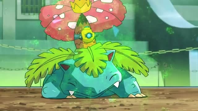 精灵宝可梦:妙蛙花不怕火焰,mega喷火龙使出绝招!