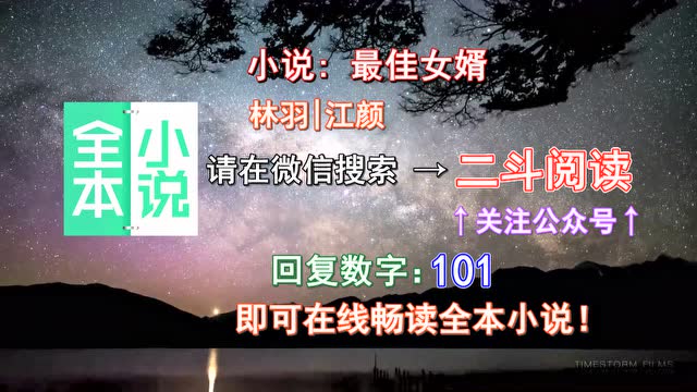 最佳女婿林羽江颜完整版小说免费阅读_最佳女婿小说