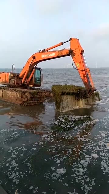 我土味挖掘机不要面子?挖海草?