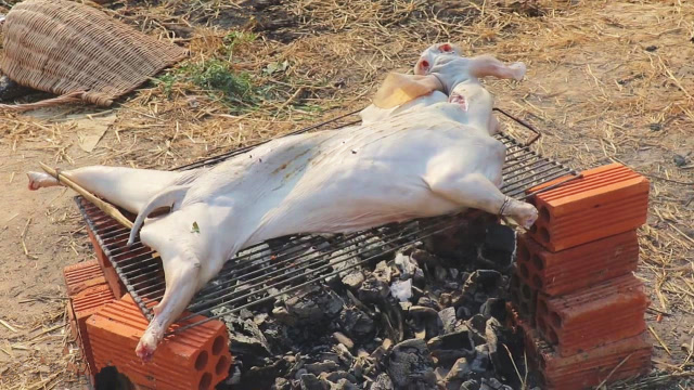 越南吃货小青年,郊外烤全羊,脆皮嫩肉,这美味真是让人无法抵挡