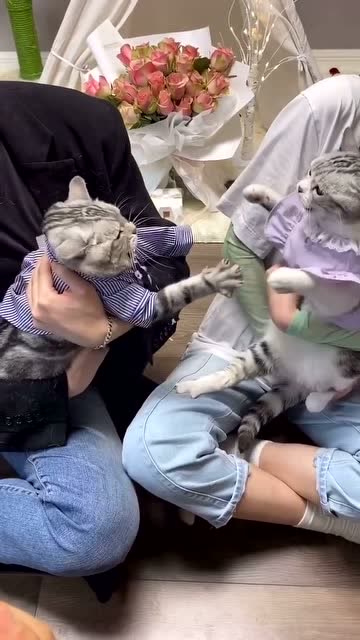 媳妇只能宠着了,我忍了,我爱你泡芙安生的爸爸王泡芙