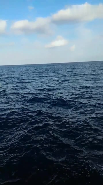 太平洋的深处,靛蓝的海水