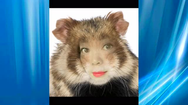 照片特效:人脸动物身,星座美图,很漂亮