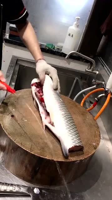 给鱼放血其实很简单