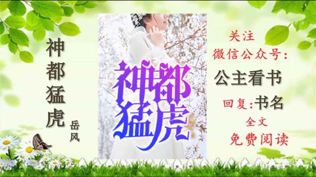 神都猛虎岳风全集