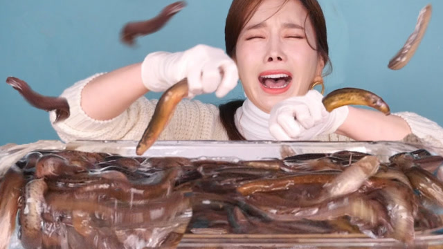 韩国美女直播吃黄鳝听着嘎嘣脆的咀嚼声让人耳朵极度舒适