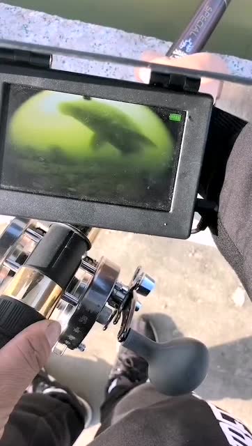 可视钓鱼黑科技96 带你领略水底世界