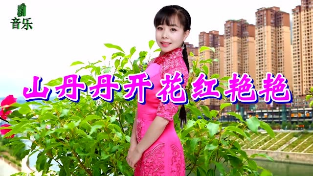 一曲王二妮《山丹丹开花红艳艳》陕北民歌,人美歌甜,超级好听!