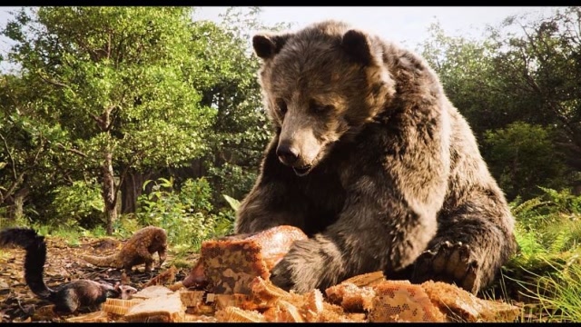 电影《奇幻森林》,小男孩被动物利用,最后那个灰熊真的太可爱了!