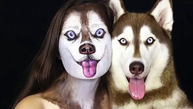 女子把自己化妆成哈士奇,当二哈看见后,感觉整只狗都不好了!