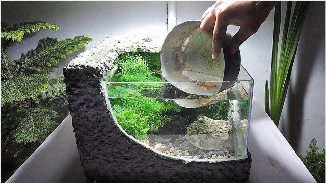 泡沫盒别再扔了,手把手教您手工制作创意个性鱼缸