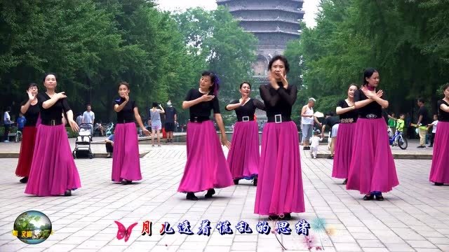 王鹤老师领众多美女跳《问花》,窈窕多姿,尽显风韵!