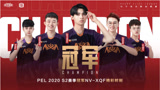 PEL2020S2总决赛冠军战队NV-XQF精彩集锦