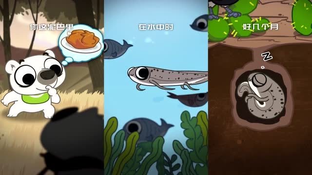 摩登大自然:非洲的肺鱼到底废不废?