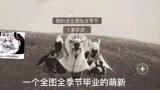 光遇，喜欢这样的萌新吗