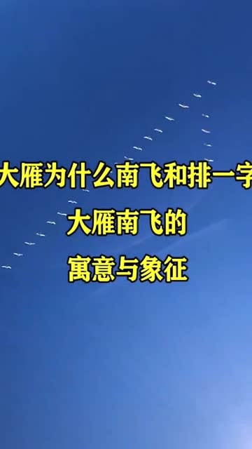 大雁南飞的时候为什么排一字大雁南飞的寓意与象征