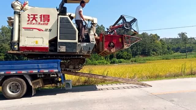 收割机来村里收割稻谷,看看是怎样下车,怎样下田,收费又怎样?