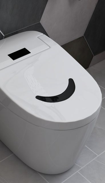 朝阳卫浴-it-01a智能座便器