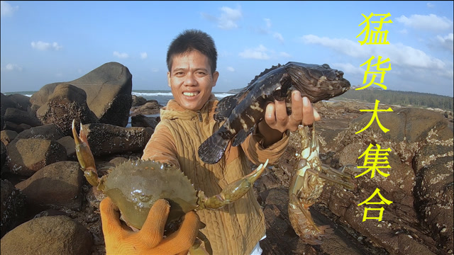 阿平赶海大收获.决战大龙虾,猛蟹嘴里夺金蛋,乐的称之为发财日