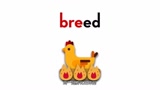 bread，breed，brood，你能分的出来嘛？