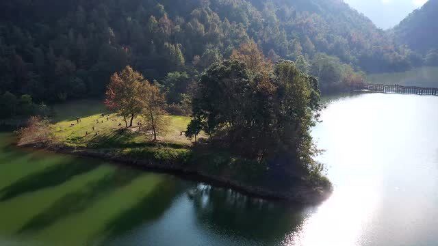 航拍德保红枫公园