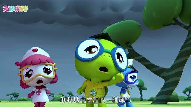 第0集 海豚帮帮号第二季:动画外的有趣生物