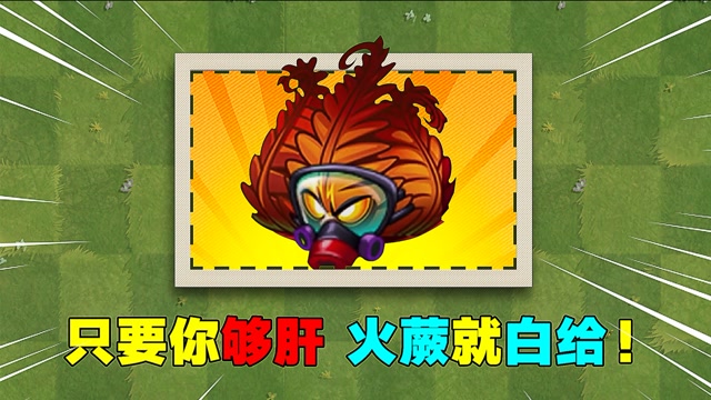 pvz2国际版爆料:地狱火蕨为赛季植物,玩家福音或将到来!