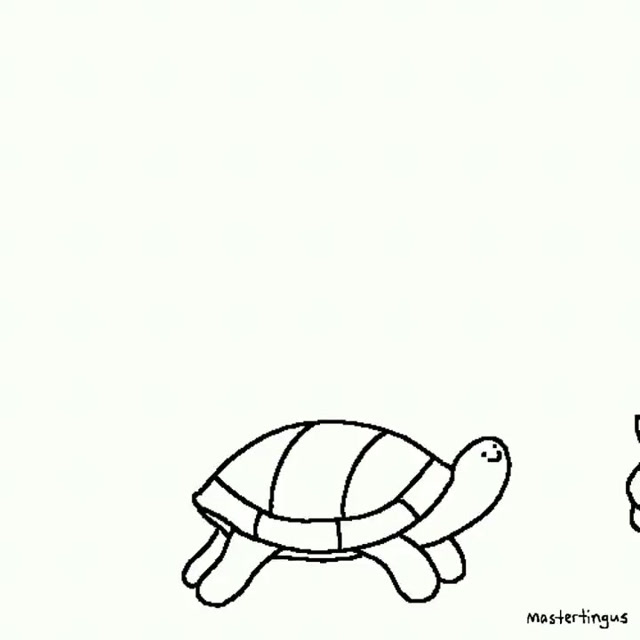 tortoise adventure!