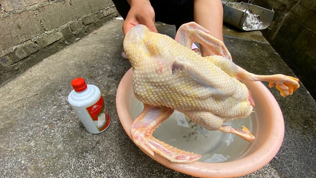 鸭子怎样拔毛才快?小哥教你这一招,拔鸭毛像脱衣服一样快