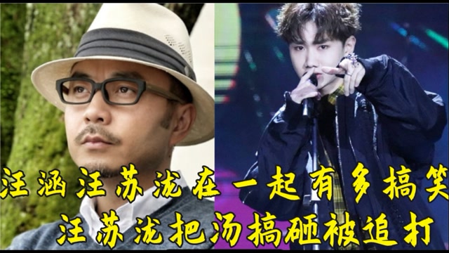汪涵汪苏泷在一起有多搞笑汪苏泷把汤搞砸被追打