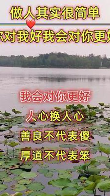 人心换人心你真我就真你假我转身细品人生人心真诚