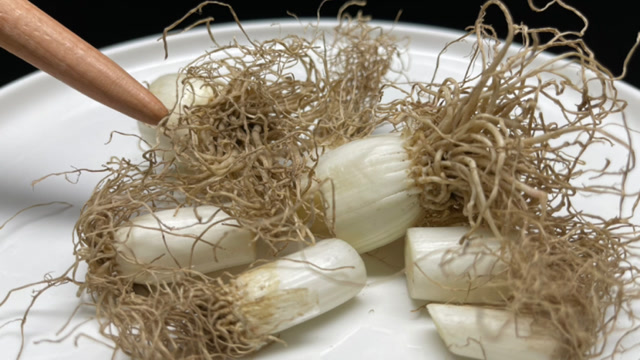 葱根不要再扔了,今天才知道原来作用这么厉害,实在是太实用了