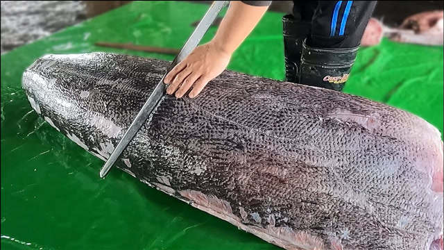 价值10万的巨型马林鱼,一刀下去不见60斤,不到2分钟被抢光!