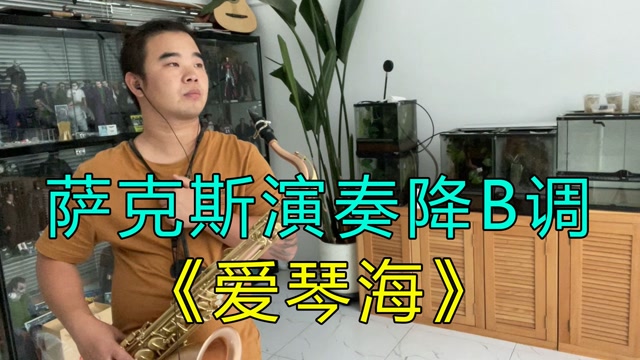 萨克斯演奏《爱琴海》次中音版本,旋律优美动听,好听至极