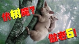 神经哥解说：没人比我更懂苟，蹲树上看耍猴呢？永劫无间！