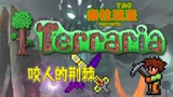 会咬人的荆棘 瓶子解说 泰拉瑞亚