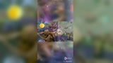 太累了，全是演员受不了#王者荣耀