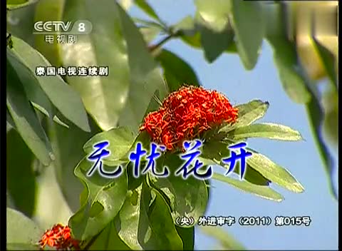 saeng lae ngao 电视剧 无忧花开>主题曲