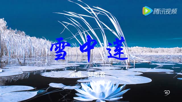 邓丽君演唱:雪中莲(无损音质转码)