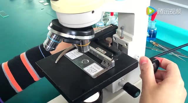 显微镜的使用——植物细胞装片的观察