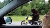 俄罗斯网友在路上看到前面骑摩托车的背影，加速上前一看，结果