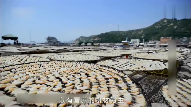 素食者经常被问到的三个问题