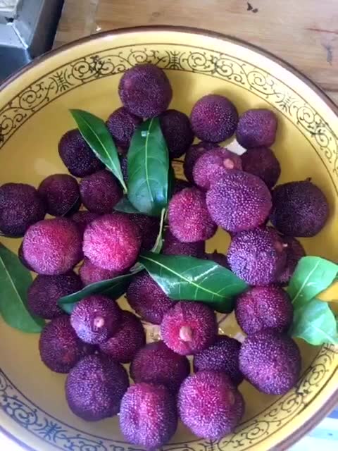 美女直播吃香梅,一提杨梅就感觉酸