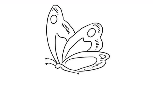 美丽的花蝴蝶幼儿亲子简笔画 宝宝轻松学画画