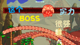 泰拉瑞亚 terraria 汉化版MOD 131 血肉宿主！